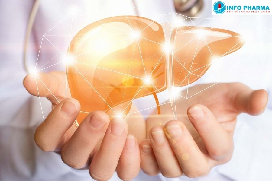 INFONIC giúp bảo vệ gan khỏi tổn thương